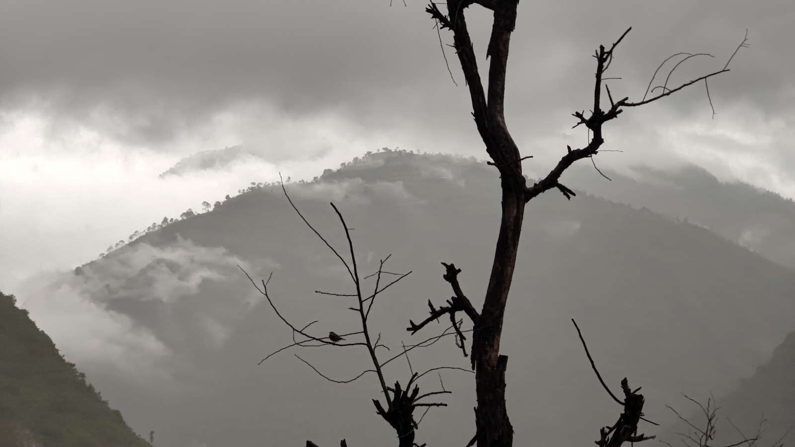 चिसो ह्वात्तै बढ्यो -उच्च पहाडी तथा हिमाली क्षेत्रमा हिमवातको सम्भावना 